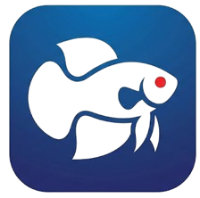 ปลากัดดอทคอม